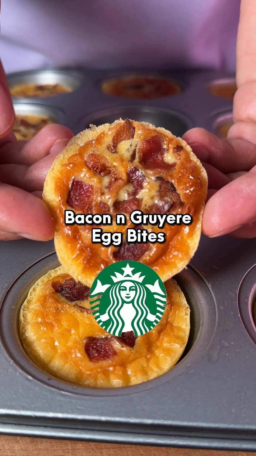 Picture for Starbucks Bacon & Gruyere Egg Bites
